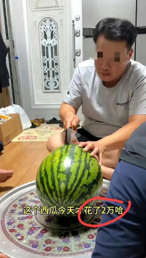 买了个瓜吃,买瓜吃，尽享清凉时光