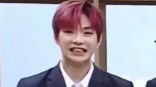 吃瓜的社长大人,一场舌尖上的社交盛宴