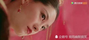 吃瓜群众张无忌