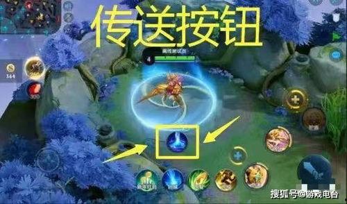 吃瓜传送图文,图文背后的趣味与真相