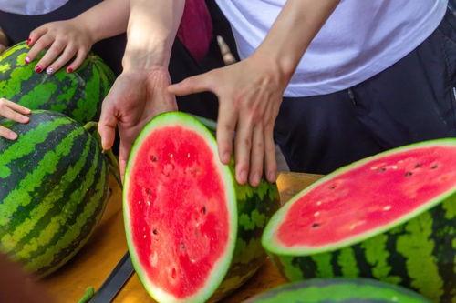 大学封校吃瓜,大学封校期间的校园吃瓜大揭秘